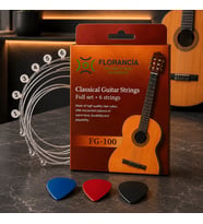 Florancia FG-100 Klasik Gitar Tel Seti
