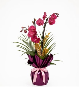 Mor Buketli Saksıda Ateş Kırmızı Orkide ve Fenix