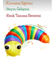 Söktak Eğlenceli Stres ve Anksiyete giderici Montessori Renkli Tırtıl Eğitici Oyuncak 1 Adet