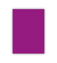 Bigpoint Fon Kartonu 50x70cm 160 Gram Mor x 100 Adet