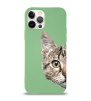 Apple iPhone 12 Pro Max Uyumlu Lansman Kılıf Catface Tasarımlı Altı Kapalı İçi Kadife Kaplı  Kapak (Şeffaf)