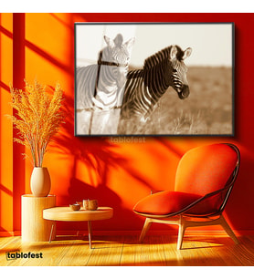 Siyah Renk Metal Çerçeveli Tamperli Cam Tablo Kuru Otlar Arasında İki Zebra Zebra Tablosu Duvar Dekoru