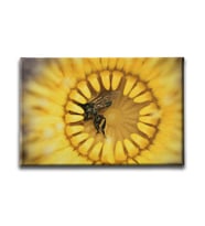 Çiçek Ve Bal Arısı  Canvas Tablo BJY104