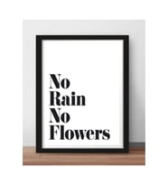 Kanvas Tablo No Rain No Flowers Temalı Çerçeve Görünümlü Mdf Tablo 40 X 60