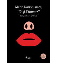 Dişi Domuz