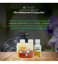 Royal İlaç Güvercin ve Kafes Kuşları İçin Mini Muhteşem İkili Set (Pigeotonic+Pigeorex)
