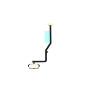 Samsung C9 Pro Home Tuşu Gold