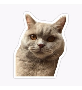 Araba Leptop için Kedi tekir Sticker Yapıştırması Etiket  17CM a4