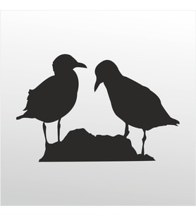 Folyo Sticker Kuşlar 100cm Uzunluk (Karışık)