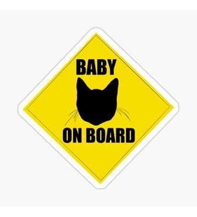 Arabada Kedi var Cats On Board Sticker Yapıştırma 19CM md4