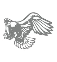 Kartal Sticker17x17 Cm Gri