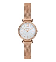 Fossil FBQ3897 Kadın Kol Saati