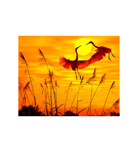 Günbatımı ve Romantik Kuşlar Sticker(Çerçeveli) 60x75 Sayılarla Boyama Hobi Seti