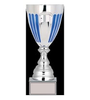 ODAK KUPA - X Large Kupalar - XL-026 B - 33 cm