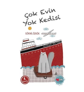 Çok Evin Yok Kedisi