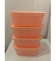 Tupperware Alaska 450 ml Derin Dondurucu Ve Buzdolabı Saklama Kabı 4 lü