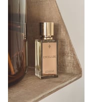 Marc-Antoine Barrois Encelade Eau de Parfum 100 ml
