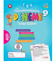 PALME 4. SINIF TEK DENEME KİTABI