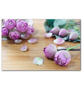 Cakatablo Masada Pembe Lotus Çiçeği Görseli MDF Tablo