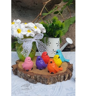 6 li Rengarenk Kuş Dekor Seti