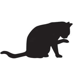 KEDİ FOLYO STİCKER 160cm Uzunluk