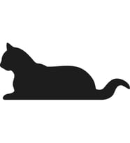 KEDİ FOLYO STİCKER 200cm Uzunluk