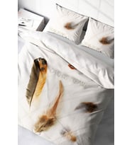 Çift Kişilik Nevresim Takımı Sık Dokuma Pamuk Saten 3d Özel Tasarım Feather