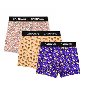 Carnaval Wild Orbit Erkek Boxer 3’lü Set