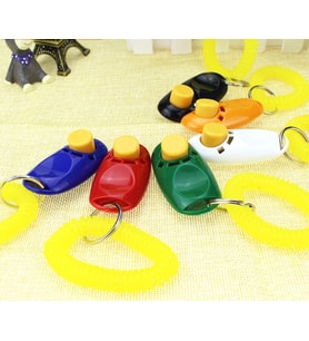 River World Köpekler İçin Eğitim