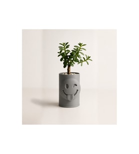 Alvera Emoji Planter – 3D Baskı Göz Kırpan Yüzlü Minik Yeşil Saksısı-Gri