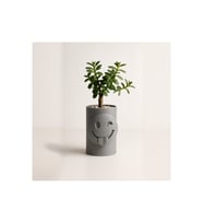 Alvera Emoji Planter – 3D Baskı Göz Kırpan Yüzlü Minik Yeşil Saksısı-Gri