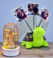 Kişiye Özel Hediye Seti 3 Fotoğraflı Sevimli Yeşil Kaplumbağa ve Led Işıklı Fanus (Model 7)