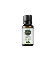 Orman Esintisi ( Oda Kokusu Aroma Terapi Buhurdanlık / Difüzör Yağı ) 10 ML