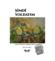 Şimdi Yoldayım / Perseus Yayınevi / Begüm Fırat
