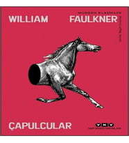 Çapulcular