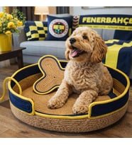 PATİ_GOL Fanatık Taraftar Ruhlu Köpek Yatağı Ve Pedi (Lacivert-Sarı)