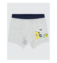 Civil Baby Erkek Bebek Boxer 9-18 Ay Gri