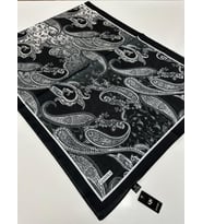 QASHKA Saten İpek Şal Etro Desen LBT0101