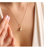 14 Ayar Altın Choker Kolye Yıldız Form