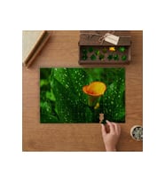 Gal Çiçeği Tasarımı 240 parça Ahşap Puzzle Ahşap Kutuda MP07115