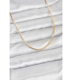 CM 14K Gold Renk Kare Zincirli Model 60 cm Kadın Kolye TJ-BKO10941