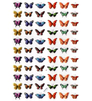 Sticker Kabartmalı A4 Boyutunda Stiker Defter, Planlayıcı Etiket-(lim519) - Renkli Minik Kelebekler