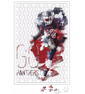 Go Panthers Puzzle 240 Parça Yapboz