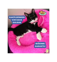 Rahat ve şık peluş kedi ve köpek yatağı, yumuşak Wellsoft kumaş, boncuk elyaflı