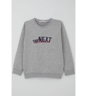 Breeze Erkek Çocuk Sweatshirt Yazı Nakış Baskılı 5-10 Yaş, Gri Melanj