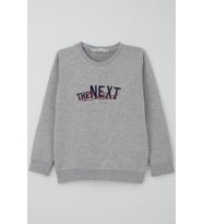 Breeze Erkek Çocuk Sweatshirt Yazı Nakış Baskılı 5-10 Yaş, Gri Melanj