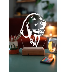 GOLDEN KÖPEK 3D 16 Renk Dekoratif Lamba