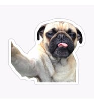 Pug Irkı Cinsi Köpek Sticker Araba Oto Yapıştırması 17CM A1