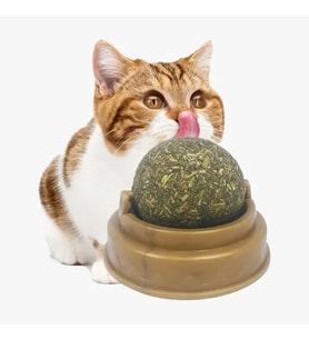 Kedi Nanesi Oyun Topu