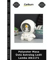 Özel Üretim Dekoratif Aydınlatma Hediye Oda Tasarım Polyester Masa Üstü Astrolog Ledli Lamba Alk1171